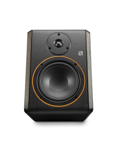 Palmer STUDIMON 5