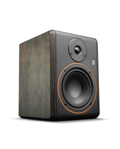 Palmer STUDIMON 5