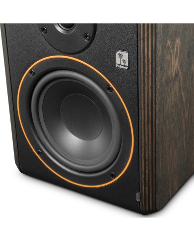 Palmer STUDIMON 5