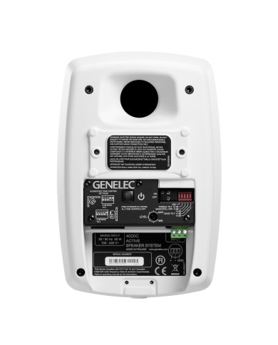 Genelec 4020 CWM