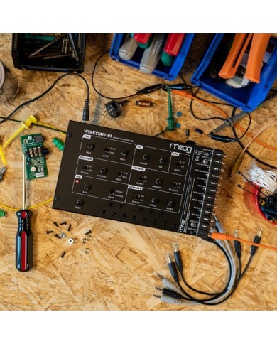 Moog Werkstatt Ø1 & CV Expander