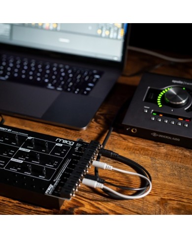 Moog Werkstatt Ø1 & CV Expander