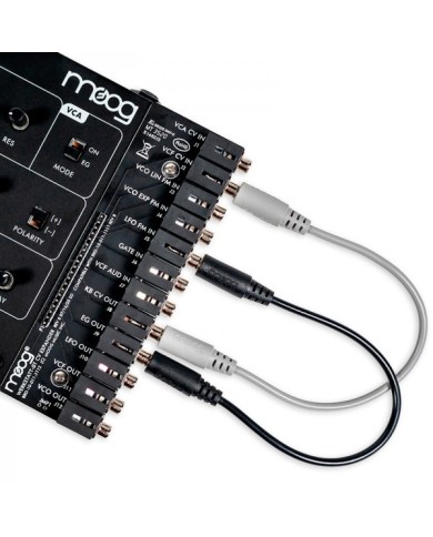 Moog Werkstatt Ø1 & CV Expander