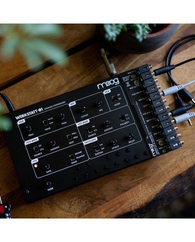 Moog Werkstatt Ø1 & CV Expander