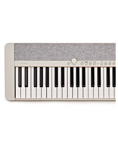 Casio CT S1WE