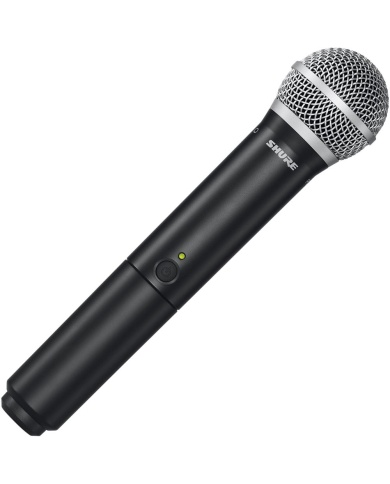 Shure BLX288 PG58