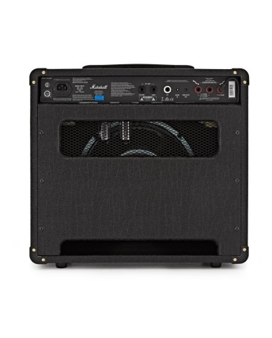 Marshall DSL20 Combo