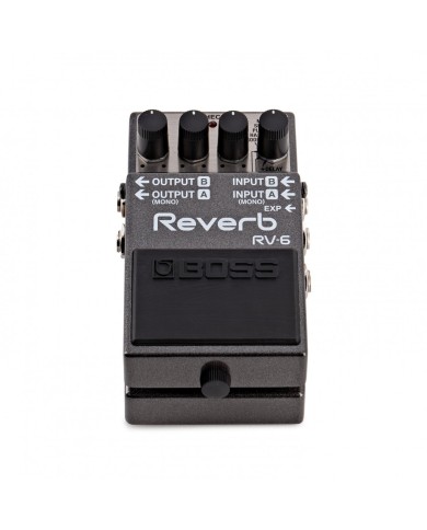 Boss RV6