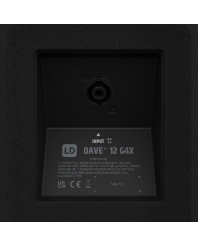 LD Systems DAVE 12 G4X