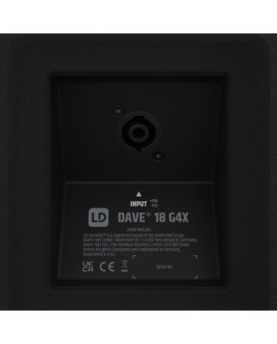 LD Systems DAVE 18 G4X
