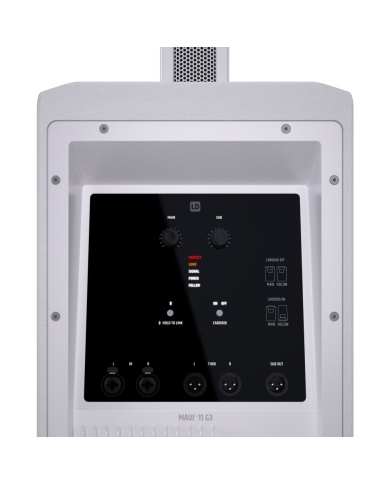 LD Systems MAUI 11 G3 W
