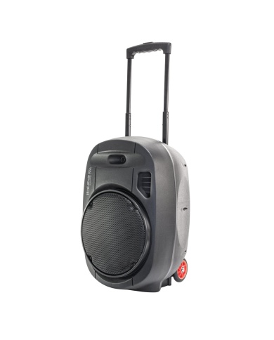 Ibiza Sound PORT 12UHF MKII