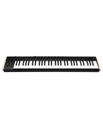 Korg Keystage 61