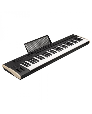 Korg Keystage 61