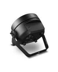 Cameo ROOT PAR TW