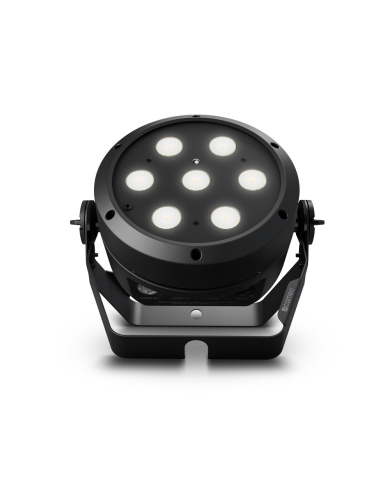 Cameo ROOT PAR TW