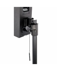 FBT Vertus CS 1000