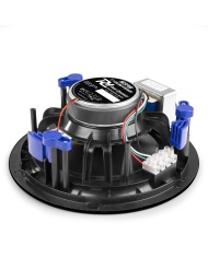 Power Dynamics NCSP8B