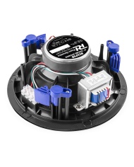 Power Dynamics NCSP8B