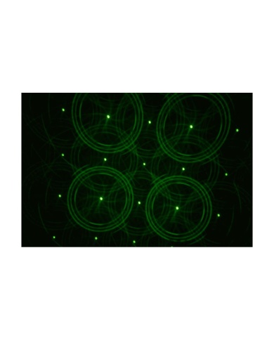 Algam Lighting Phebus 2