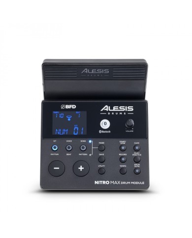 Alesis Nitro Max Kit