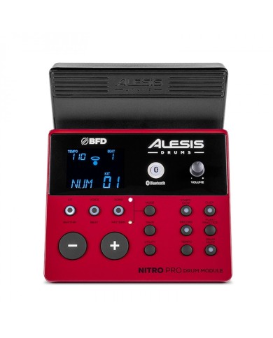Alesis Nitro Pro XL Kit