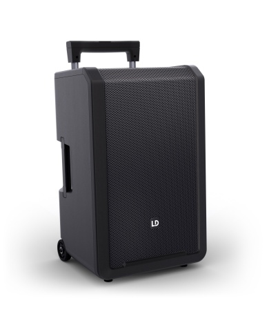 LD Systems ANNY 12