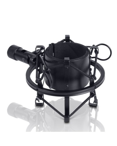 LD Systems DSM 45B