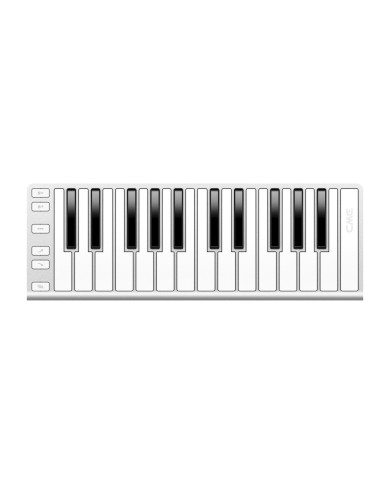 CME Pro Xkey 25 Silver