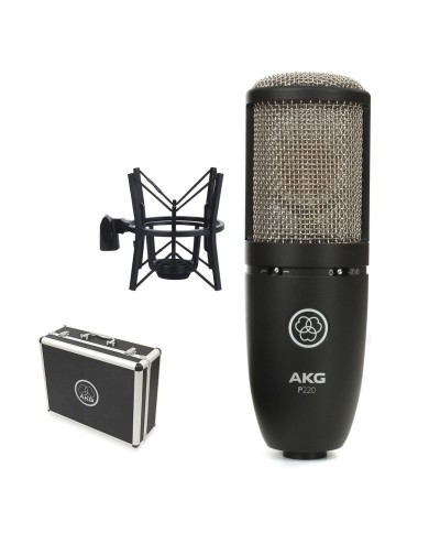 AKG Perception 220
