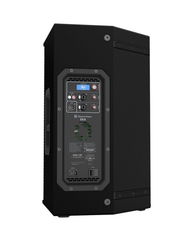 Electro-Voice EKX 15P