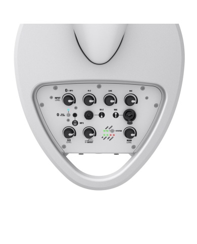 LD Systems MAUI 5 GO W