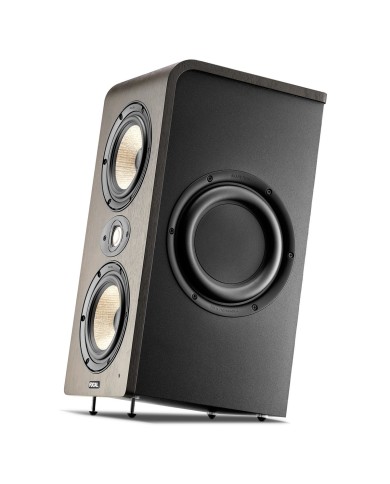 Focal Shape Twin