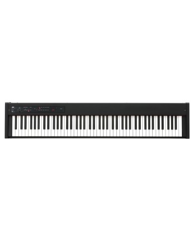 Korg D1