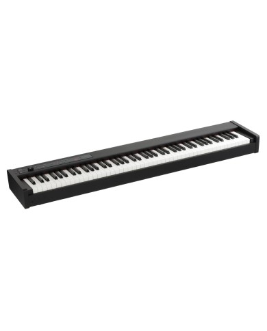 Korg D1